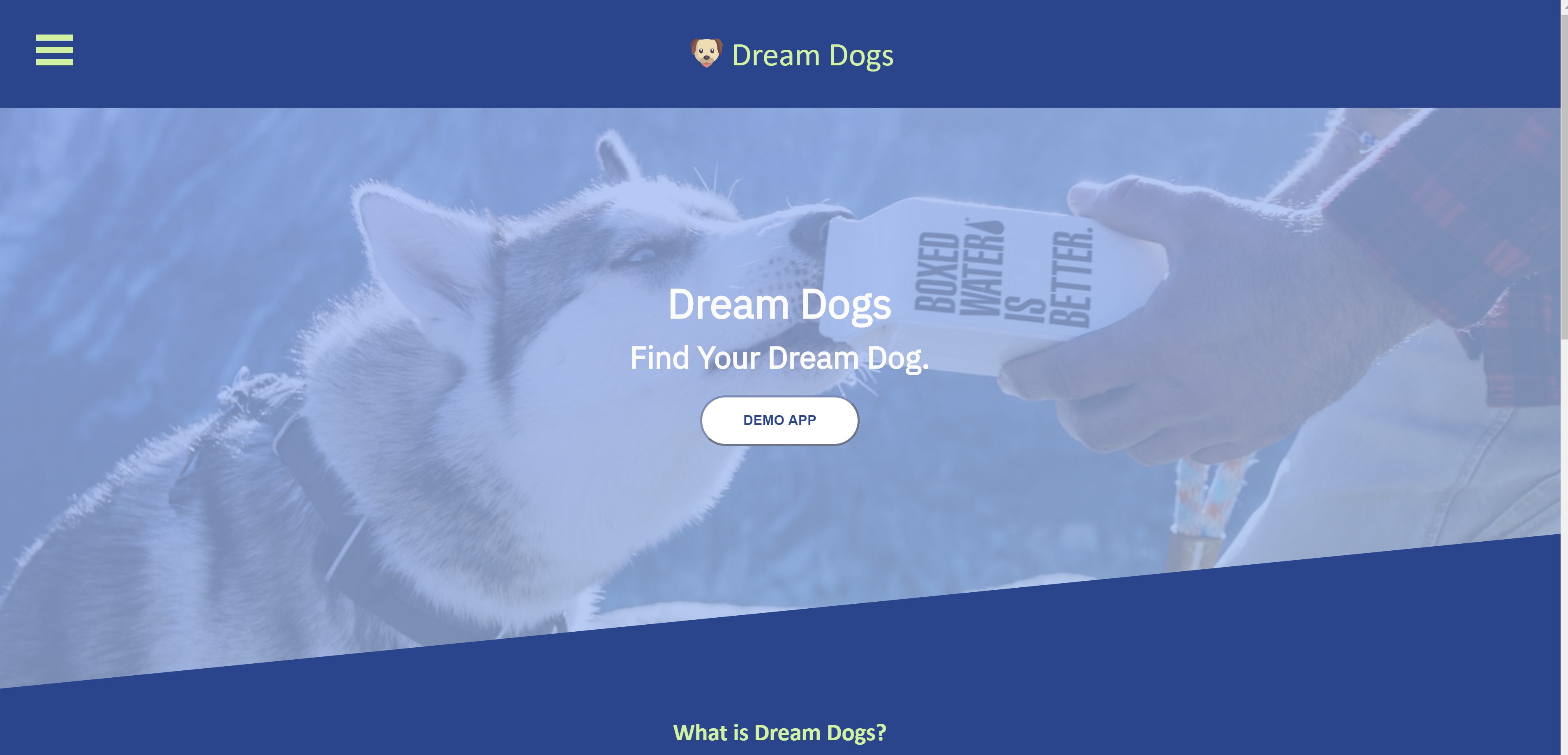 screenshot of landing page for dream-dogs